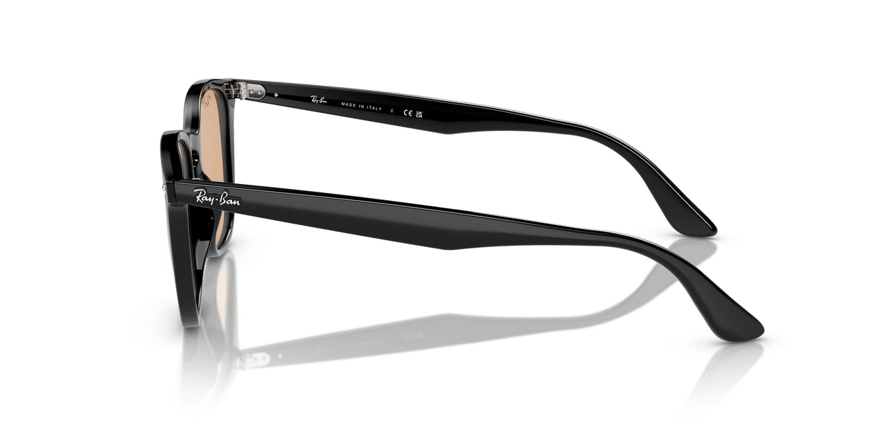 601/93 - Black - Brown