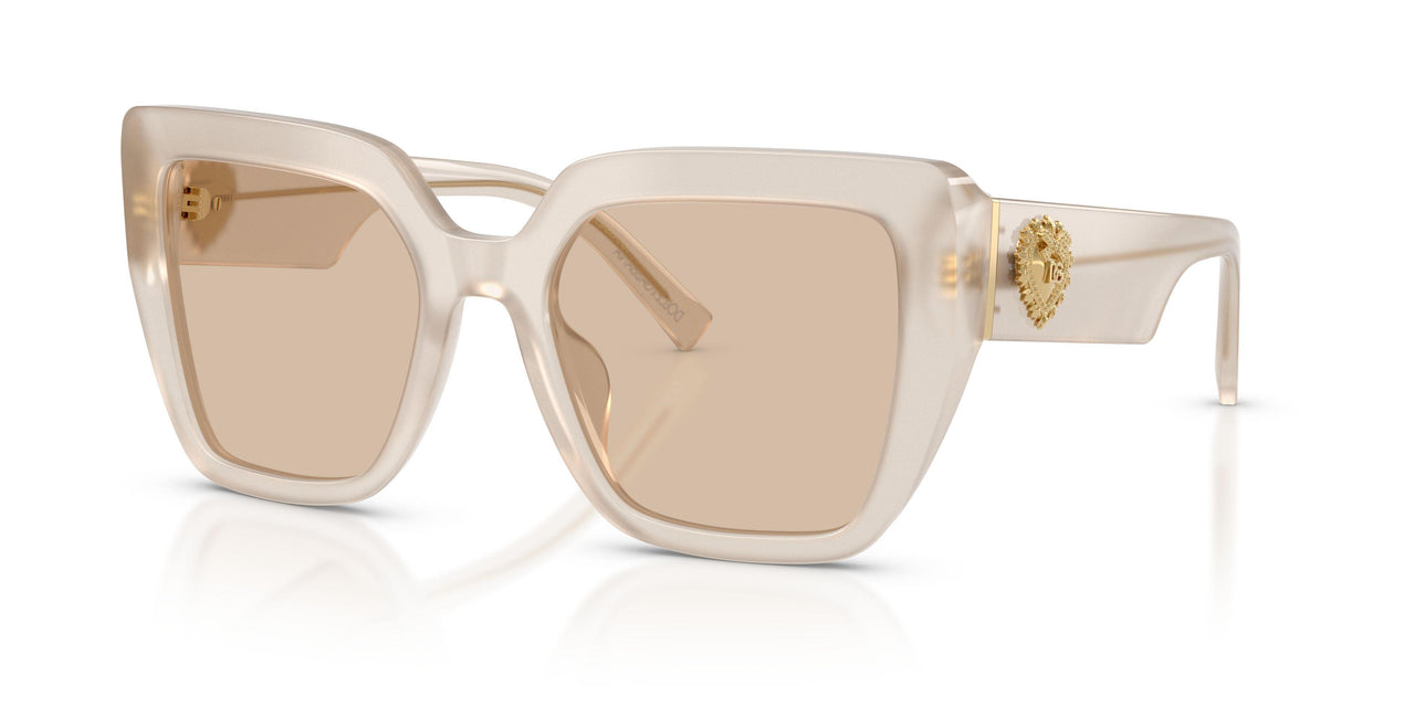 Dolce & Gabbana 4538 Sunglasses