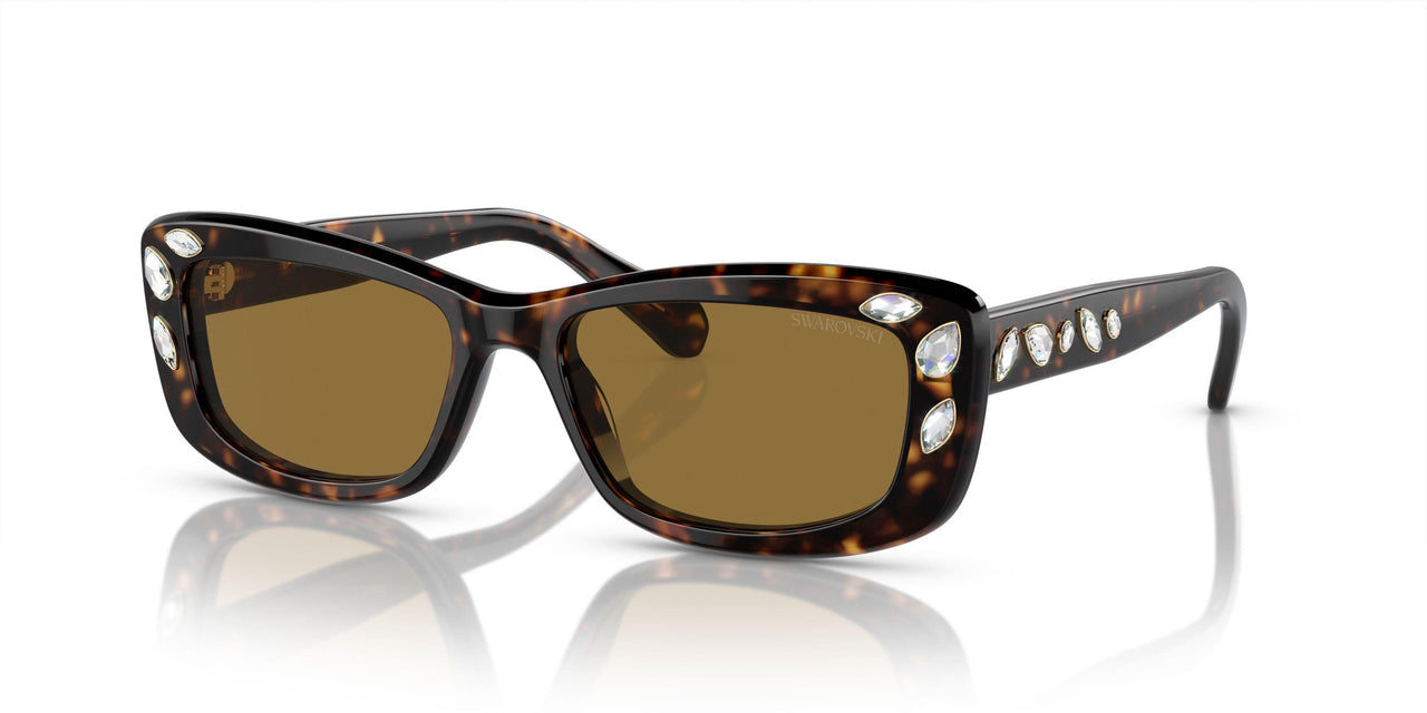 100273 - Brown - Bronze