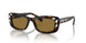 100273 - Brown - Bronze