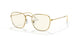 9196BL - Gold - Photo Grey/blue Light Filter