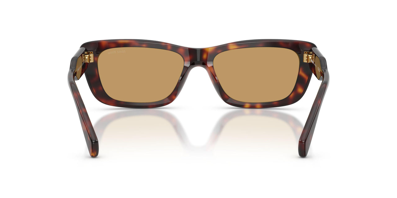 27L10Y - Tortoise - Brown