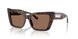 500273 - Tortoise - Dark Brown
