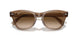 664051 - Light Brown - Clear Gradient Brown