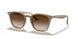 616613 - Light Brown - Brown Gradient