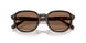 512073 - Tortoise - Brown Solid