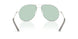 1004M1 - Silver - Photo Green To Dark Green
