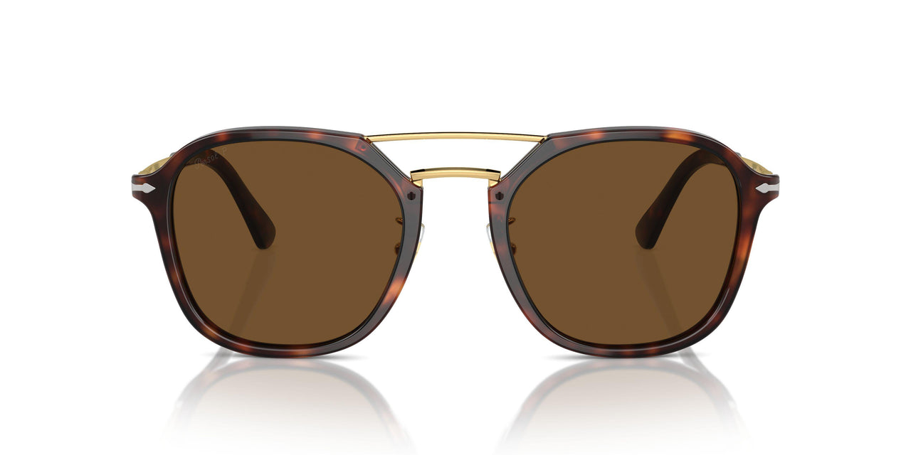 24/57 - Tortoise - Polar Brown