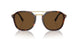 24/57 - Tortoise - Polar Brown
