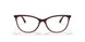 2907 - Brown