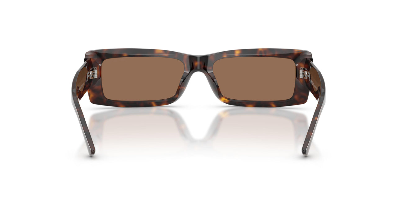 500273 - Tortoise - Dark Brown