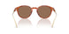 577473 - Tortoise - Brown Solid