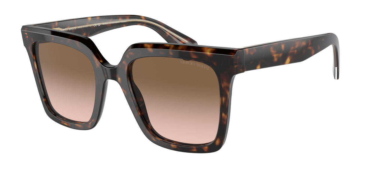 587951 - Tortoise - Brown Gradient