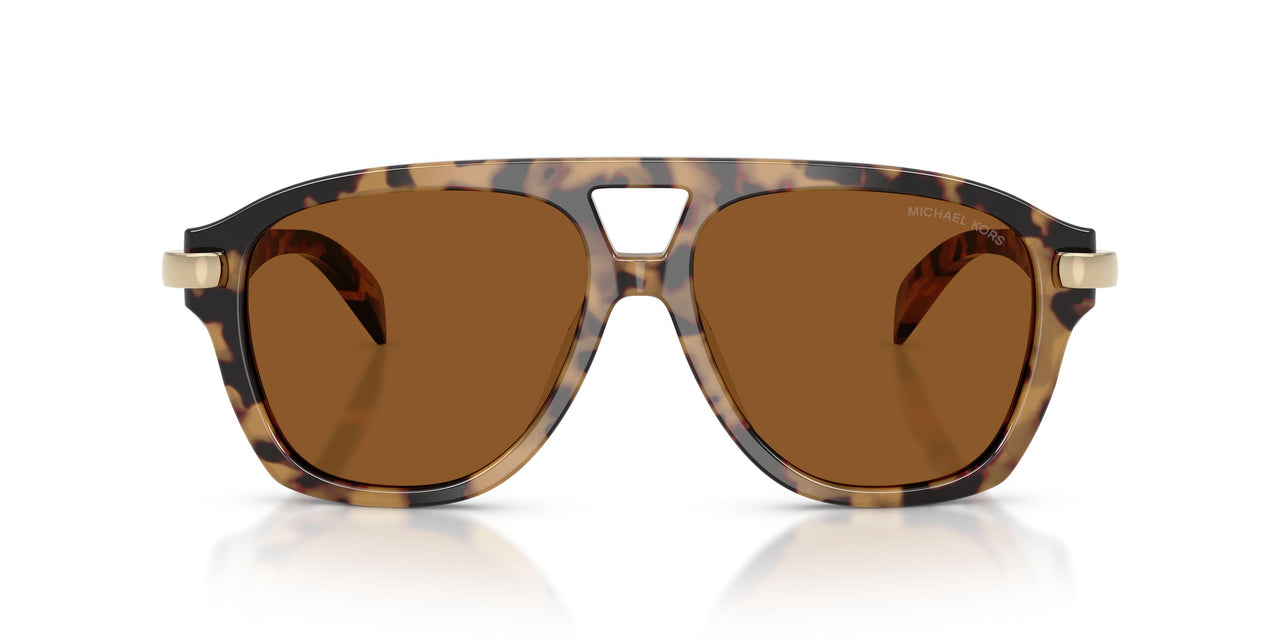 393073 - Tortoise - Amber