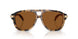 393073 - Tortoise - Amber
