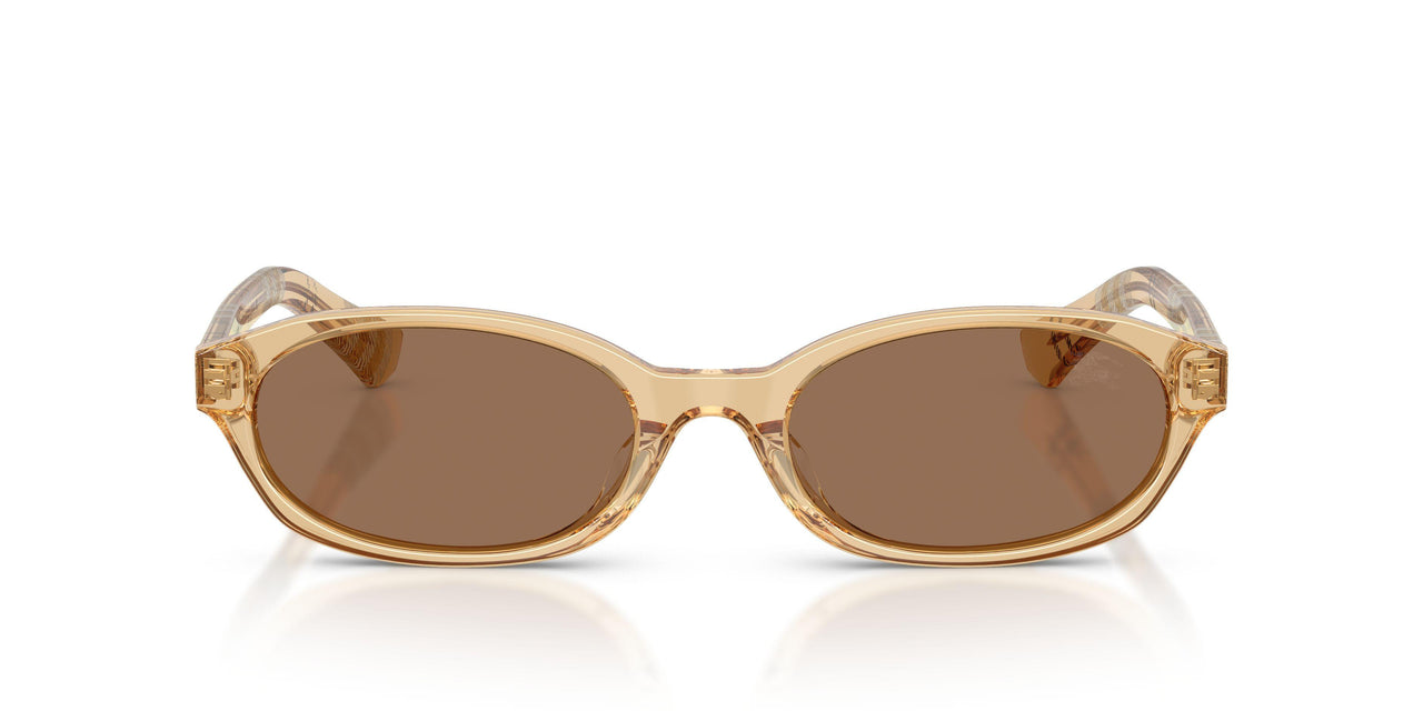 416773 - Yellow - Dark Brown