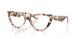 5080 - Tortoise