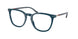 Polo 2288 Eyeglasses