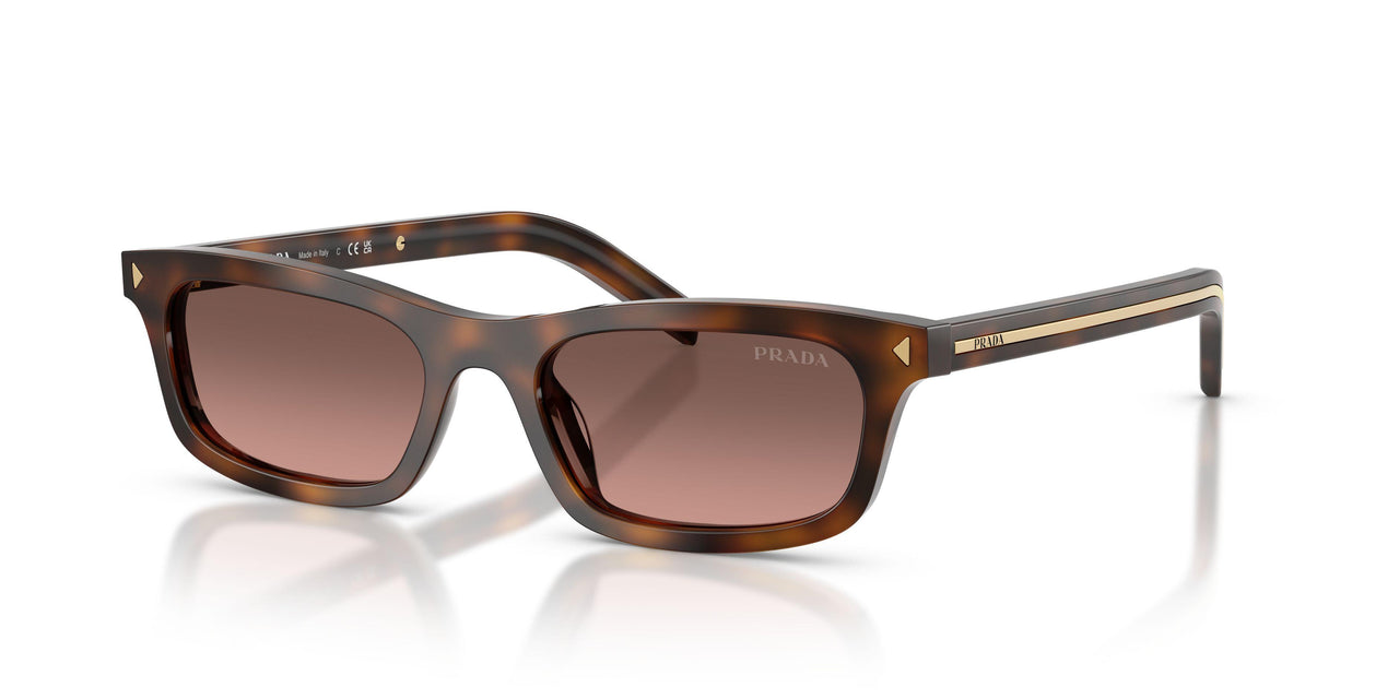 20D11C - Tortoise - Brown Gradient Grey