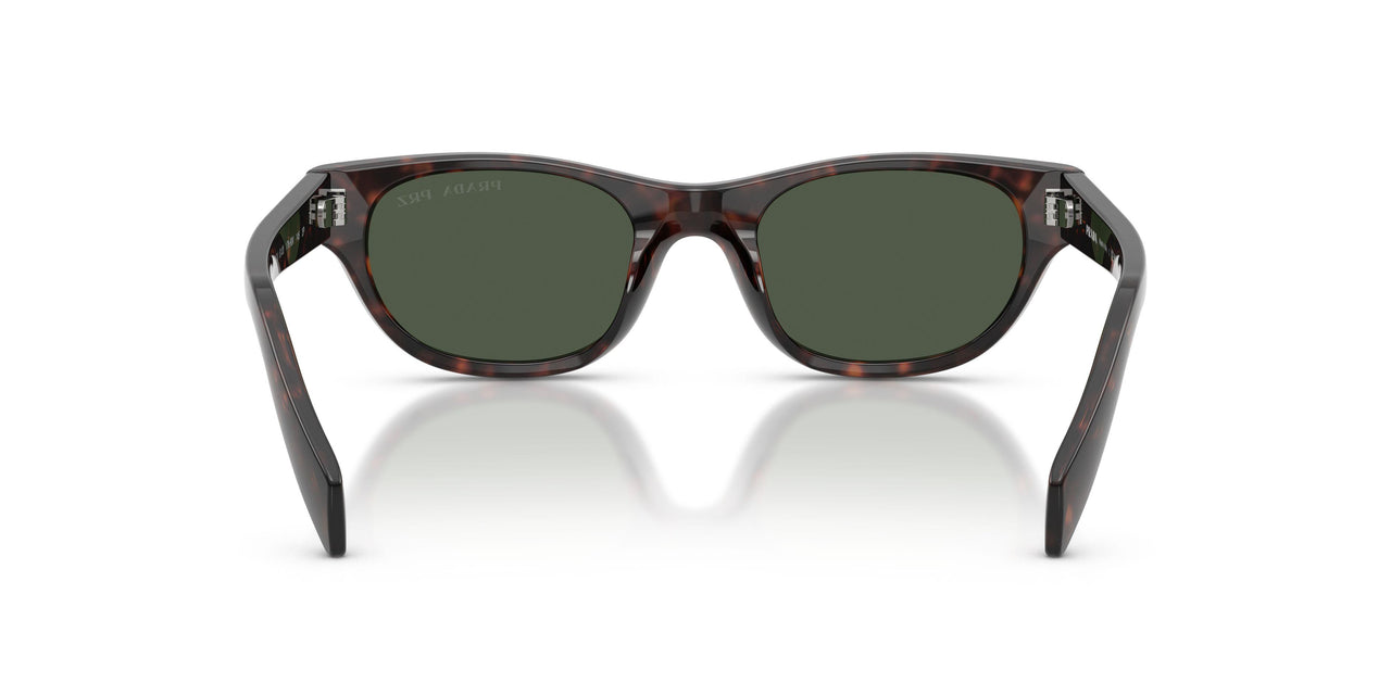 17N90V - Tortoise - Dark Grey Polarized