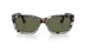 115958 - Brown - Green Polar