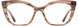 Cinzia CIN5174 Eyeglasses