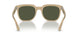 116931 - Brown - Green