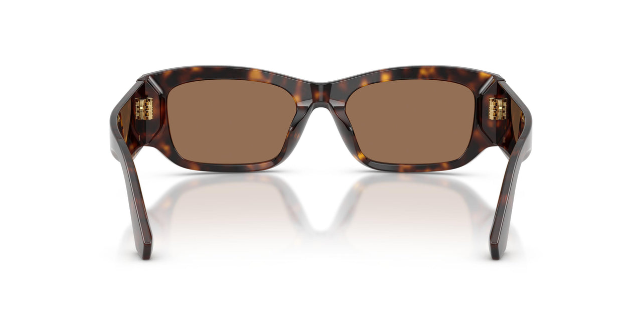 502/73 - Tortoise - Dark Brown