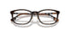 4102 - Tortoise