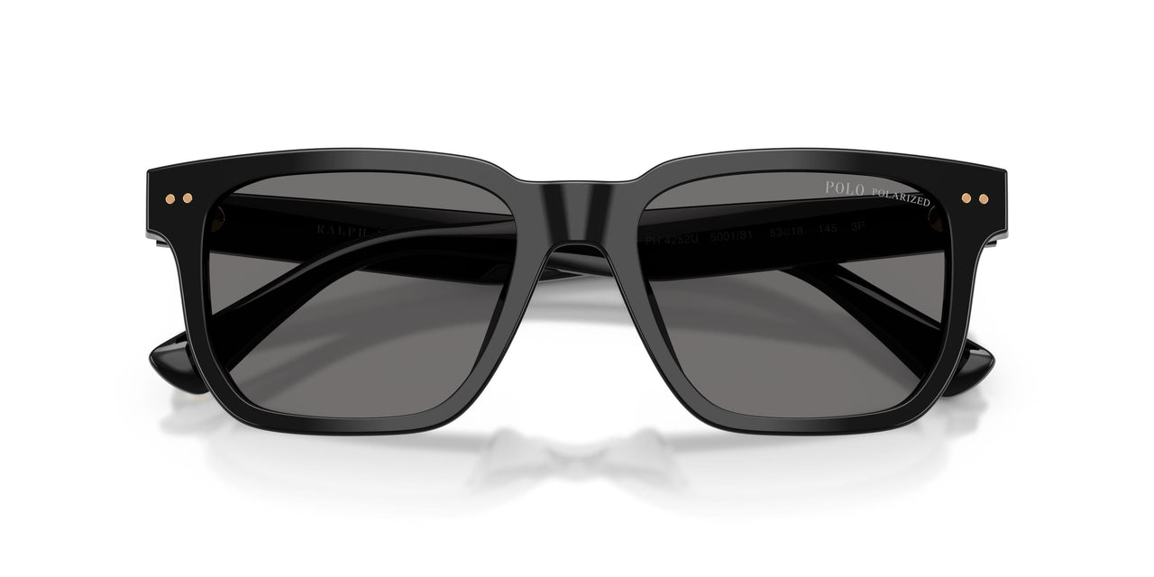 500181 - Black - Polarized Dark Grey