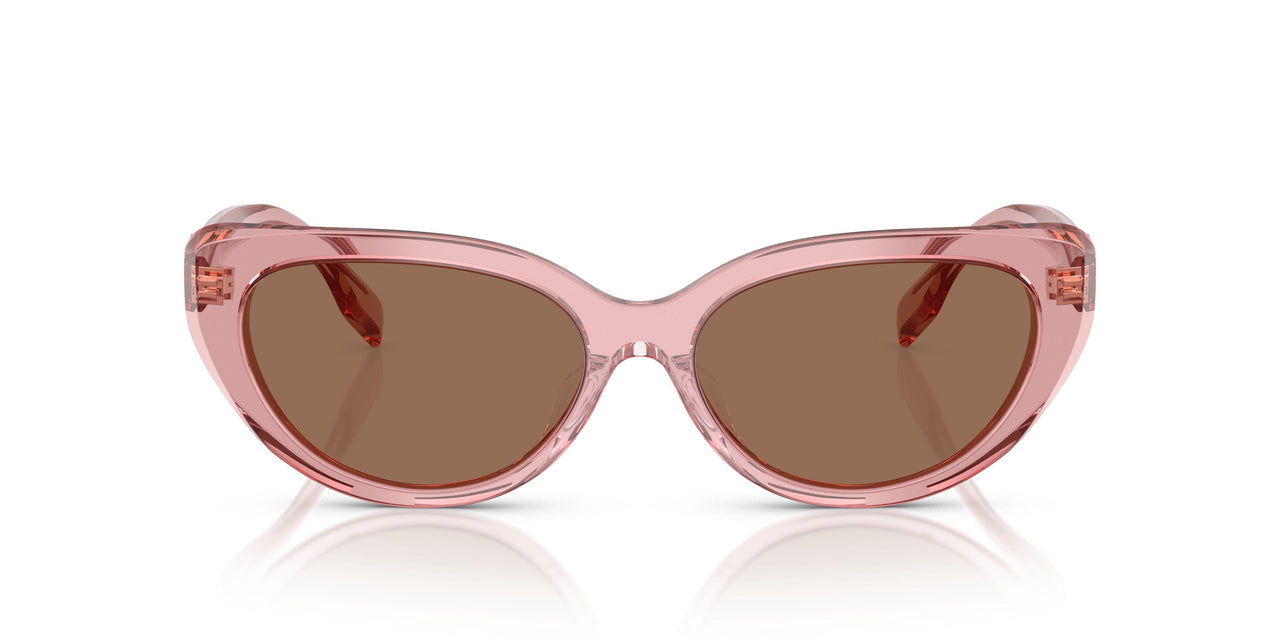 202173 - Pink - Dark Brown