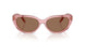 202173 - Pink - Dark Brown