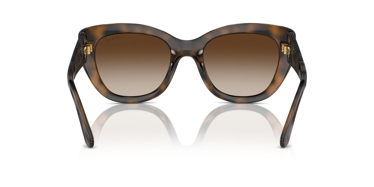 238613 - Brown - Gradient Brown