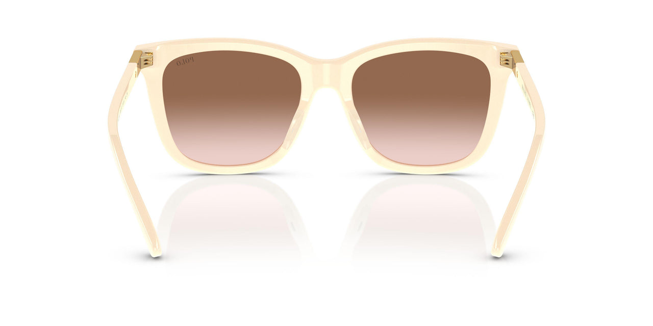 605713 - Grey - Gradient Brown