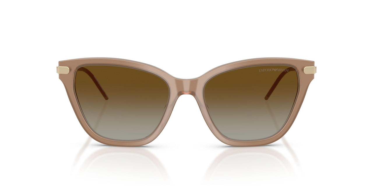 6263T5 - Brown - Gradient Brown Polar