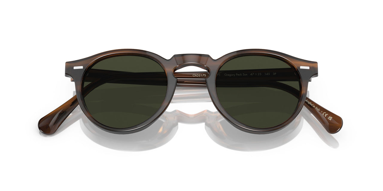 1724P1 - Brown - G-15 Polarized