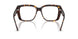 5002 - Tortoise
