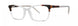 Vera Wang V533 Eyeglasses