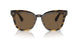 100373 - Havana - Brown