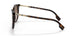 300213 - Havana - Brown Gradient