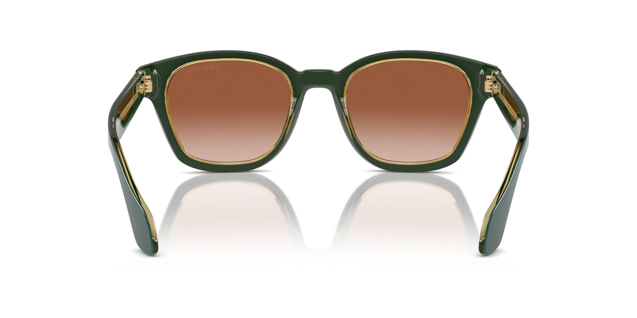 608613 - Green - Gradient Brown