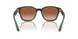 608613 - Green - Gradient Brown