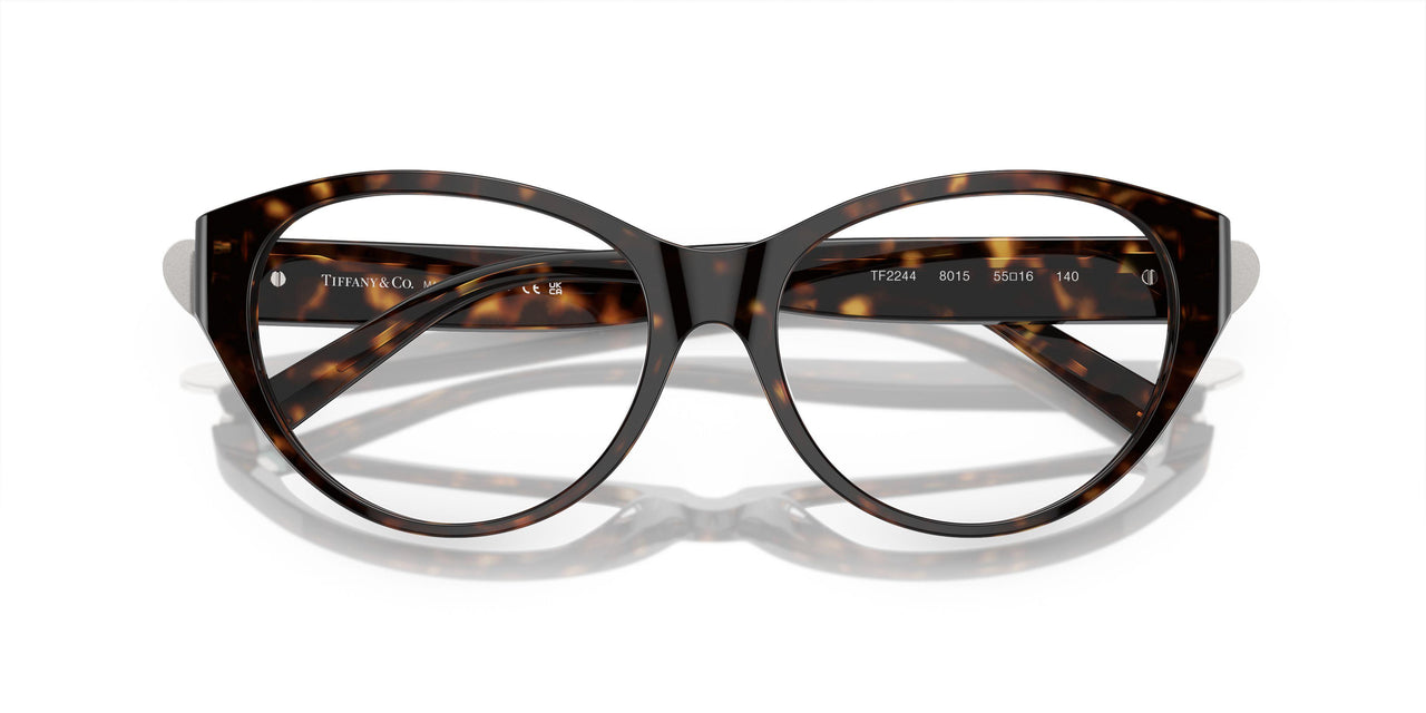 8015 - Tortoise