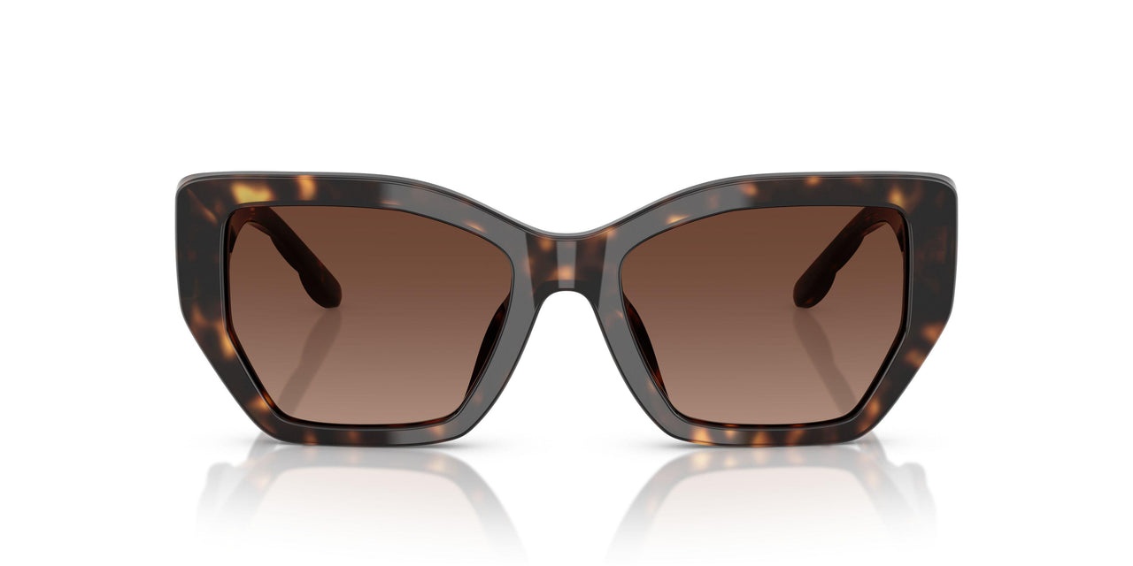 1728T5 - Tortoise - Brown Gradient Polar