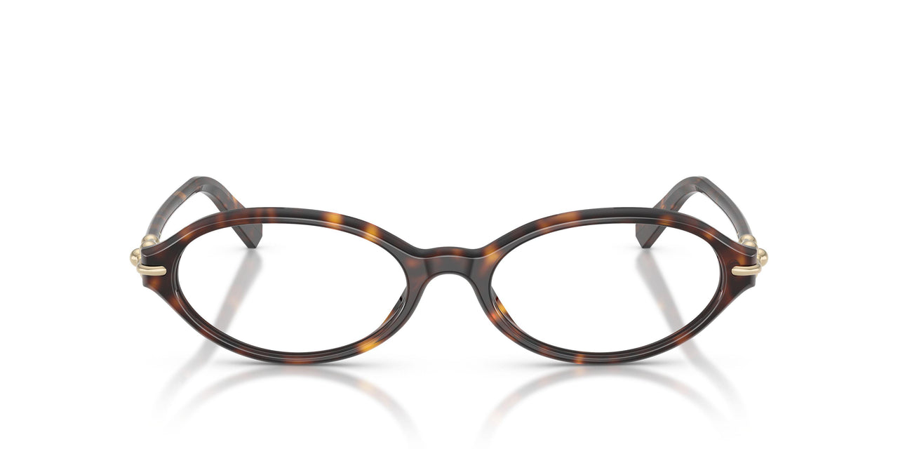 8015 - Tortoise