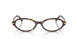 8015 - Tortoise