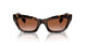 300213 - Brown - Brown Gradient