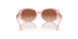 392313 - Pink - Brown Gradient