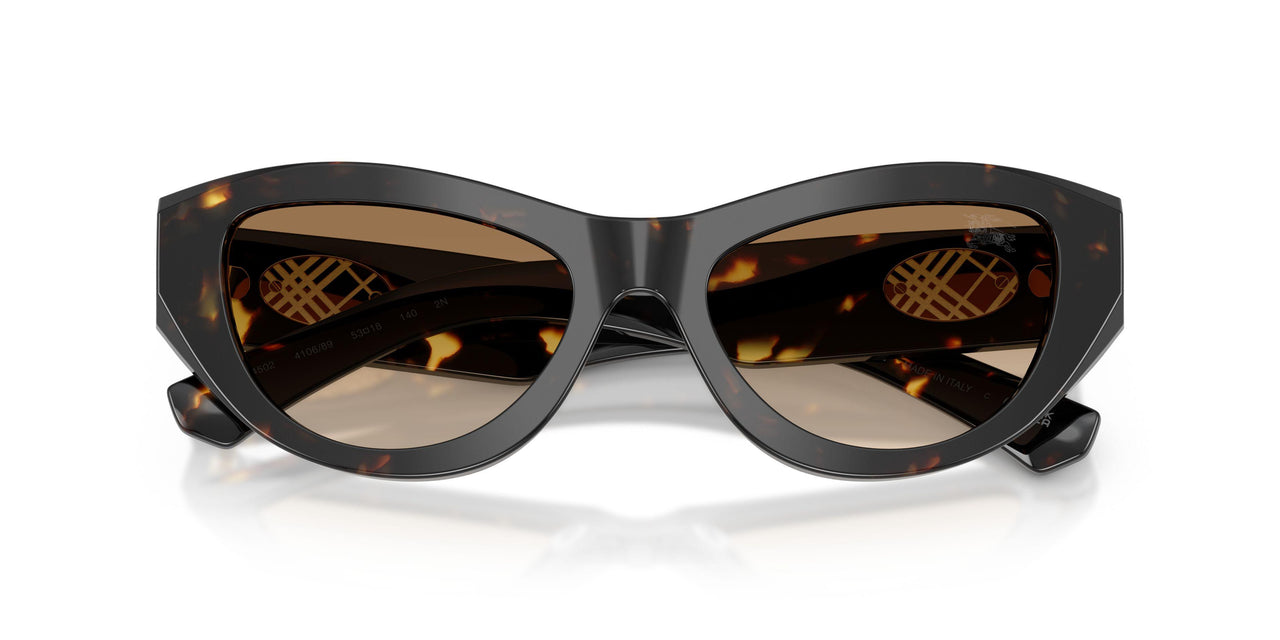 410689 - Tortoise - Brown Gradient
