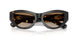 410689 - Tortoise - Brown Gradient